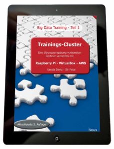Cluster Raspberry Pi