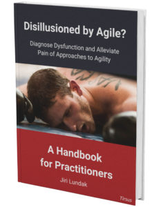 Handbook for agile Practitioners
