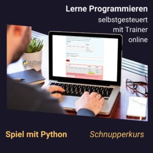 Python Schnupperkurs Online